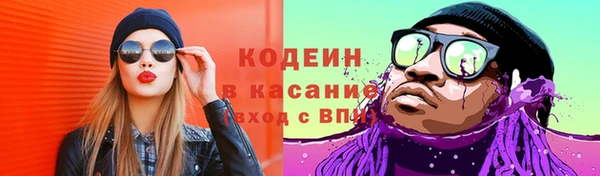 гашик Алзамай